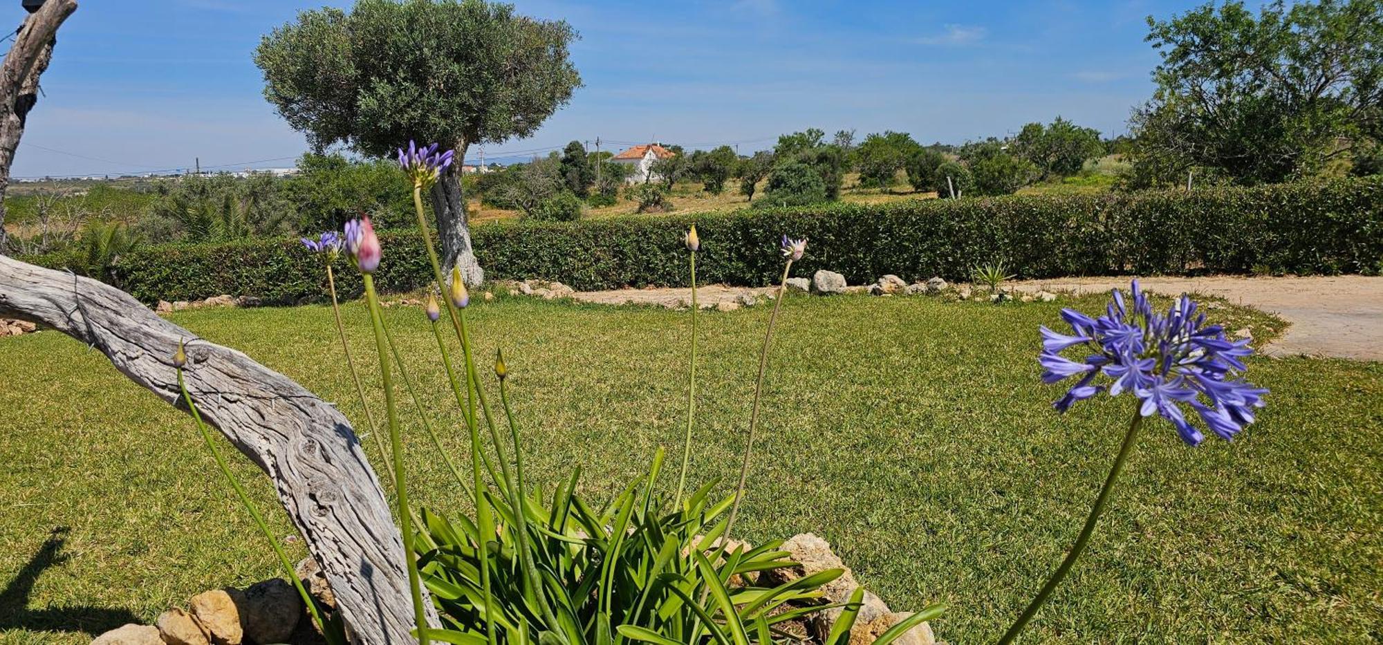 Quinta Do Lagar Villa Albufeira Luaran gambar